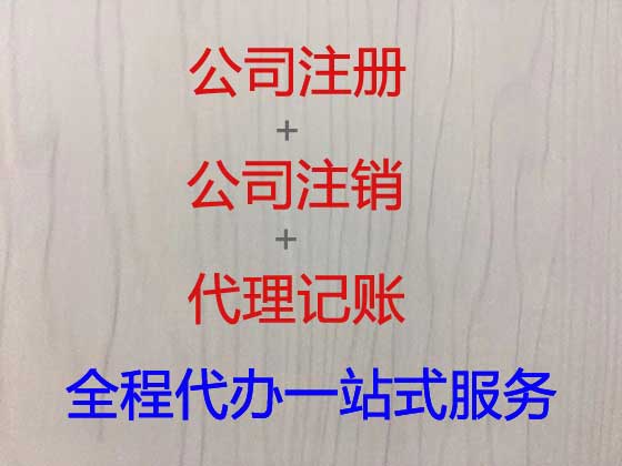 叶县公司个体户注册变更注销代办